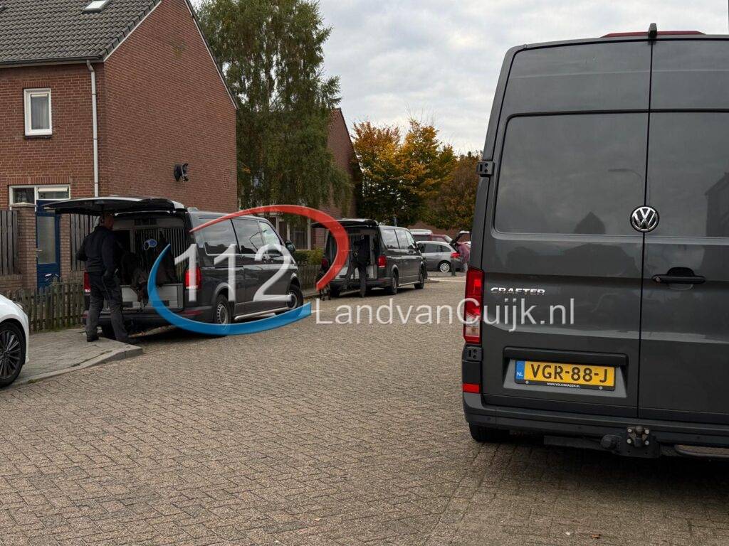 c6c552ef-2e40-4579-842c-96618fe2c587