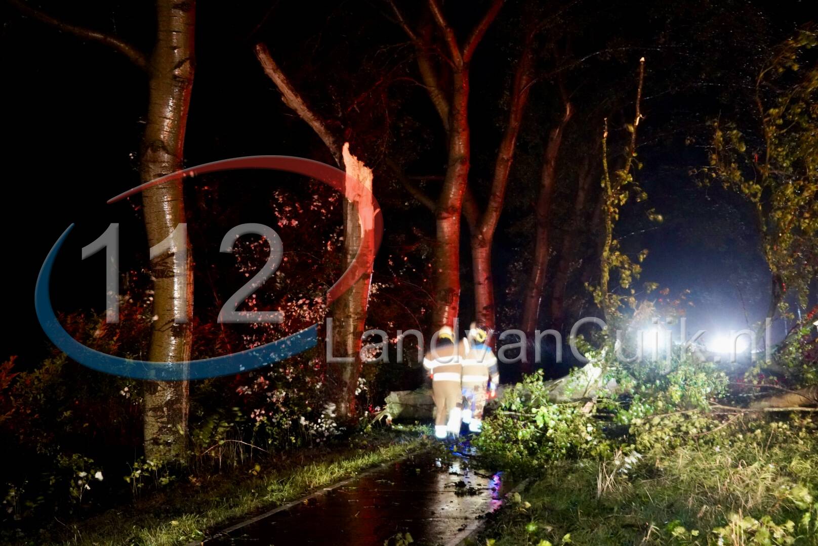 Grote boom blokkeert N272 bij Sint Anthonis