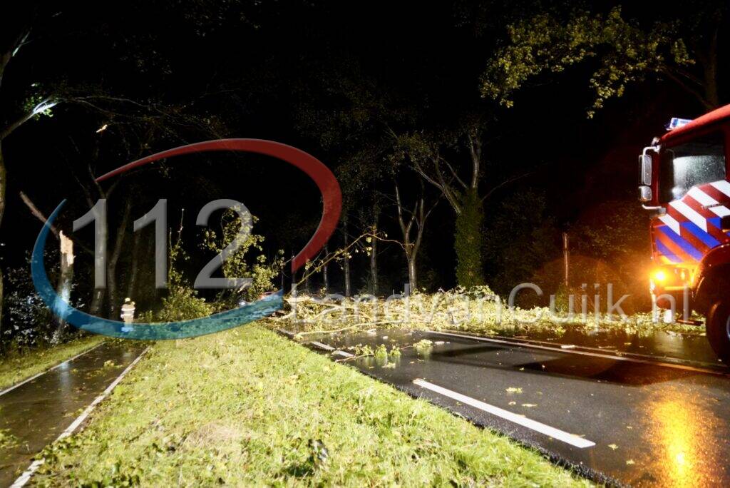 Grote boom blokkeert N272 bij Sint Anthonis