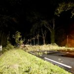 Grote boom blokkeert N272 bij Sint Anthonis