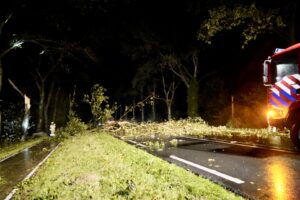 Grote boom blokkeert N272 bij Sint Anthonis