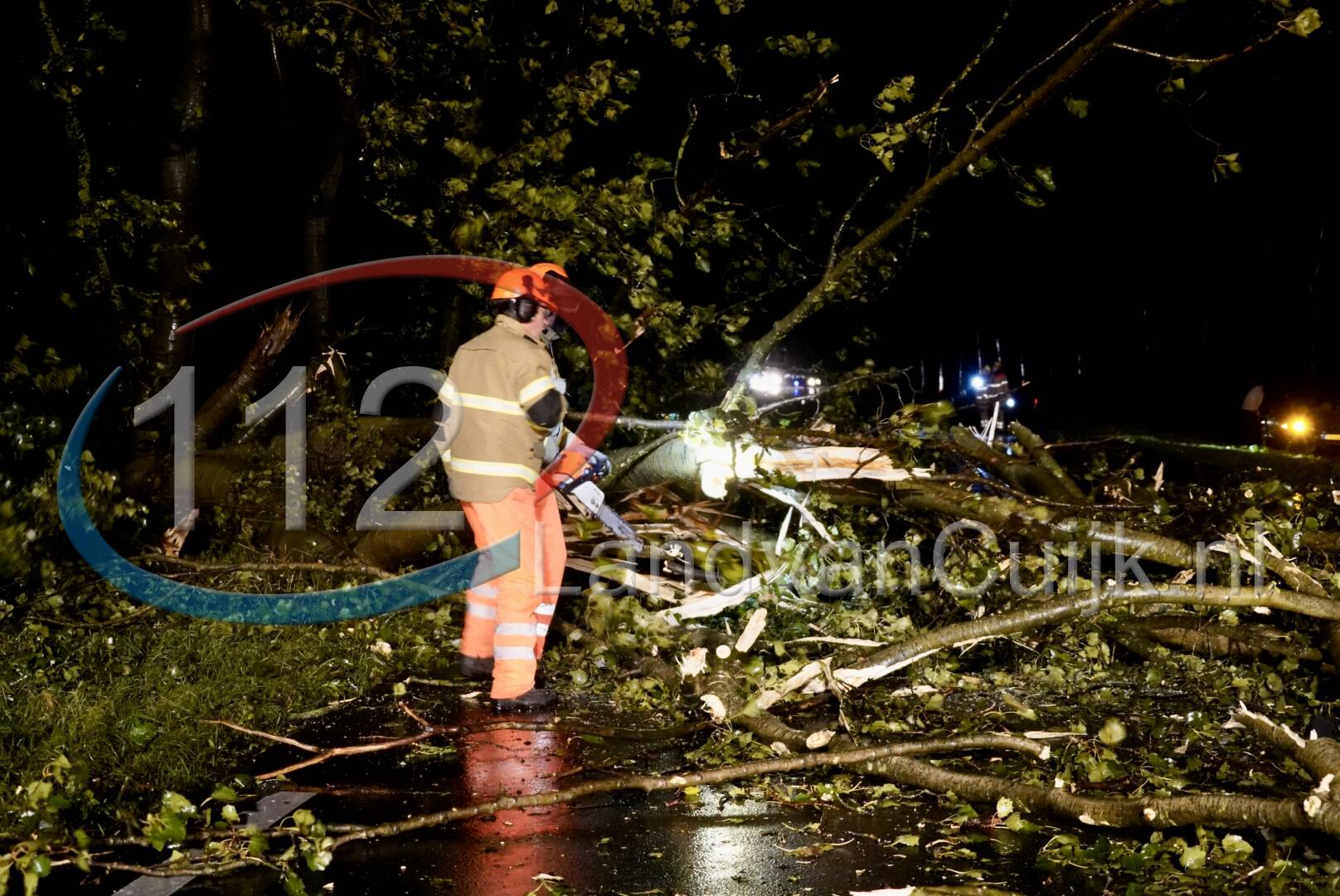Grote boom blokkeert N272 bij Sint Anthonis