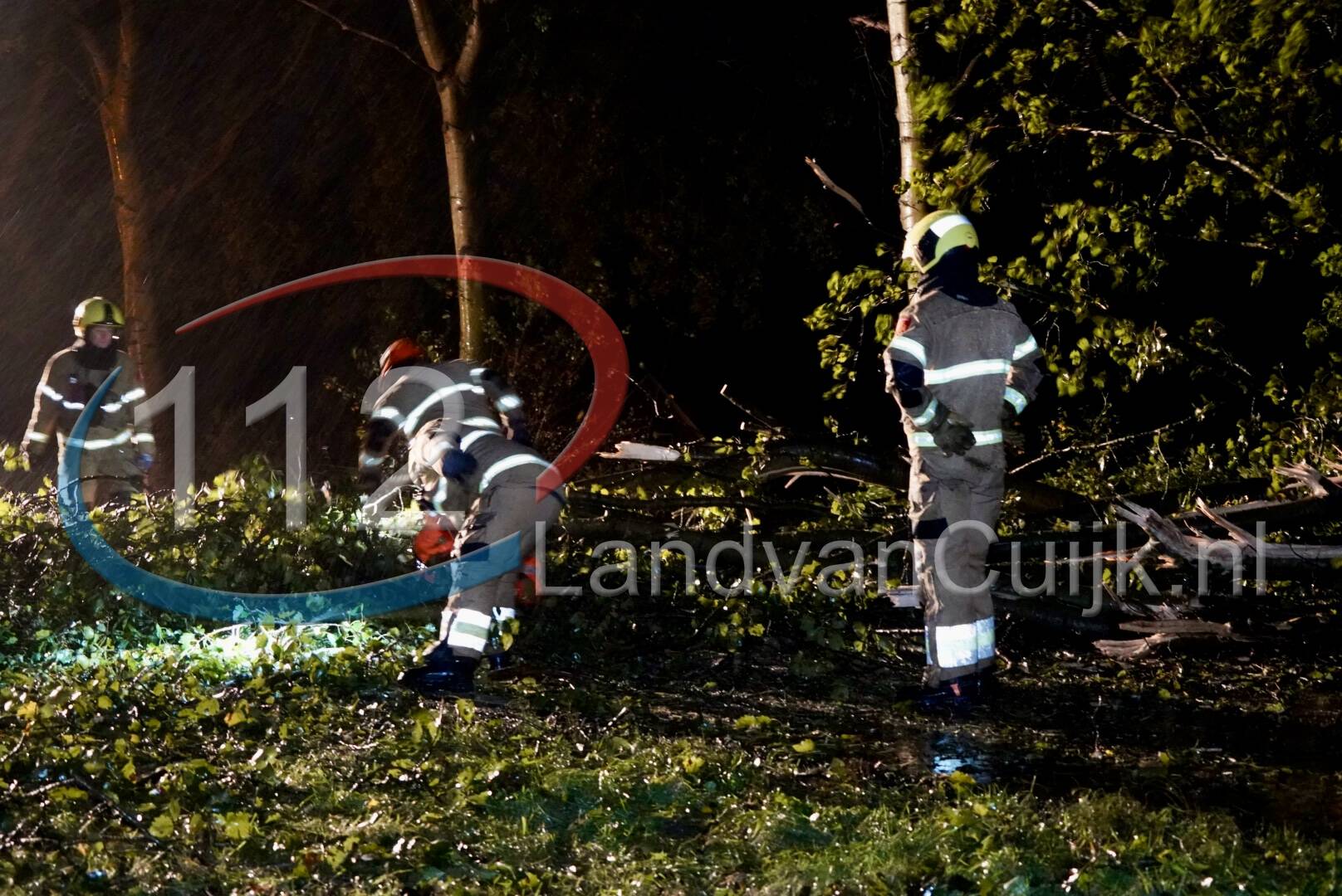 Grote boom blokkeert N272 bij Sint Anthonis